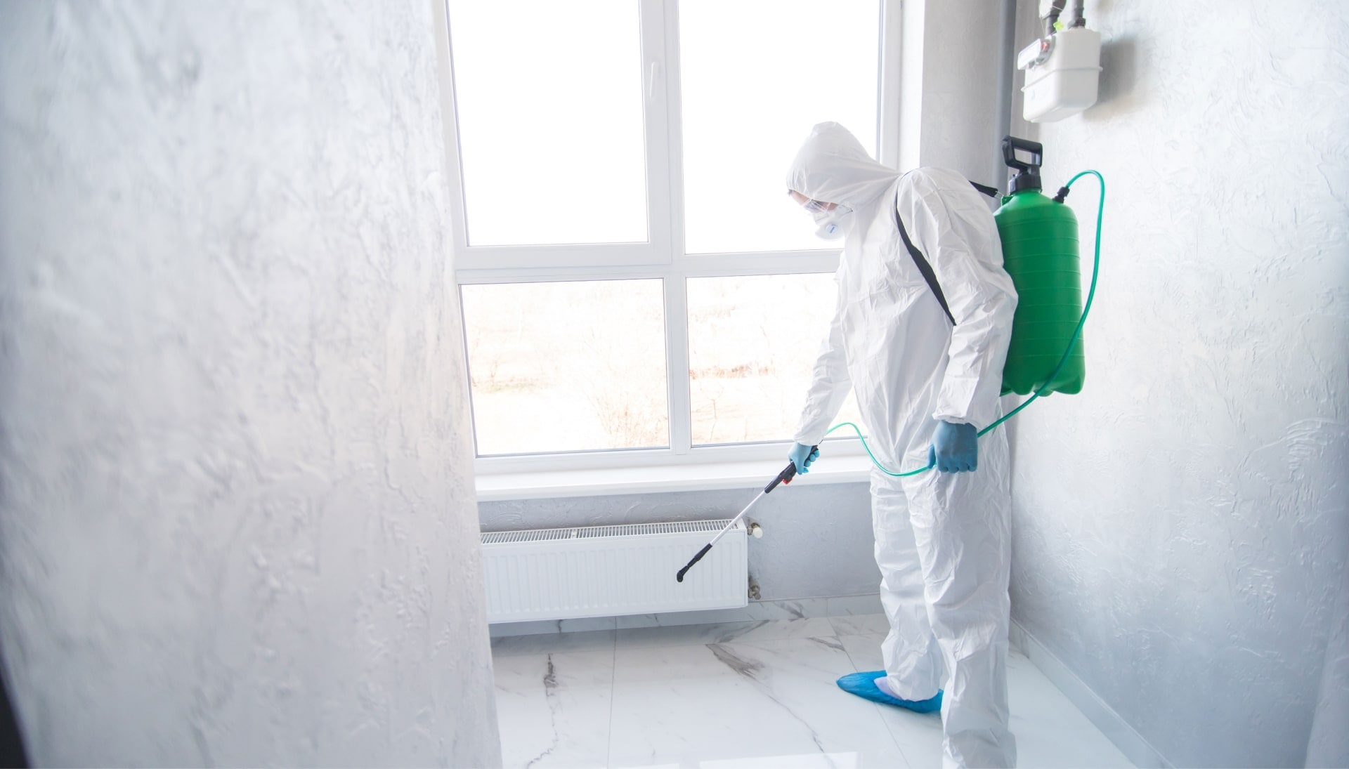 Mold Inspection Services in Eugene